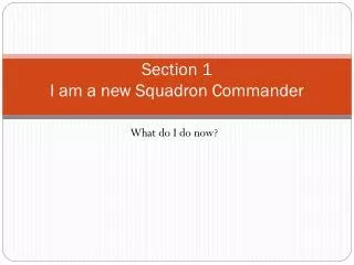 Section 1 I am a new Squadron Commander
