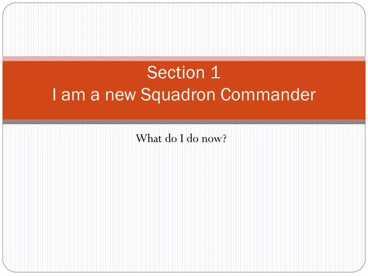 section 1 i am a new squadron commander