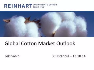 Global Cotton Market Outlook