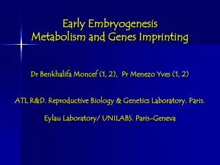 Early Embryogenesis Metabolism and Genes Imprinting