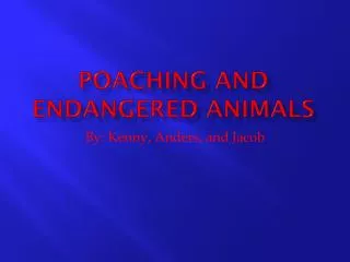 Poaching And Endangered Animals