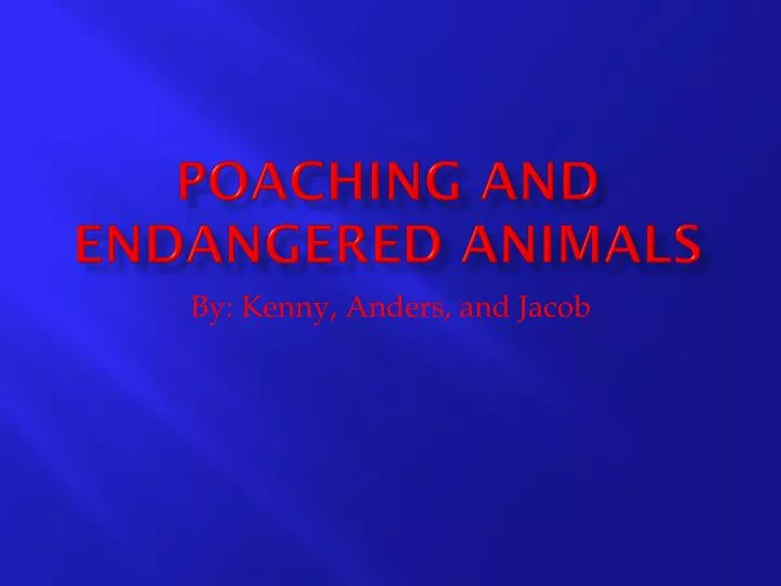 poaching and endangered animals