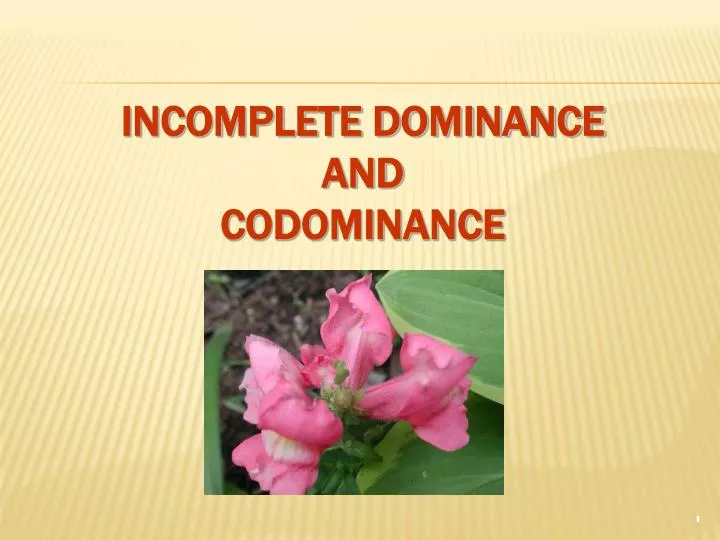 incomplete dominance and codominance