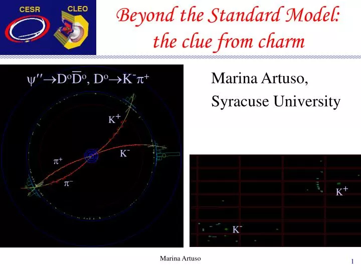 beyond the standard model the clue from charm