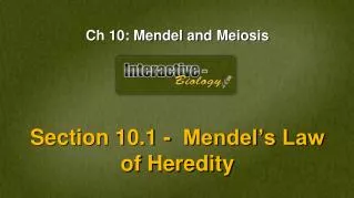 Ch 10: Mendel and Meiosis