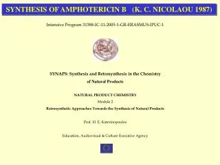 SYNTHESIS OF AMPHOTERICIN B (K. C. NICOLAOU 1987)