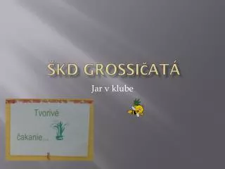 kd g rossi at