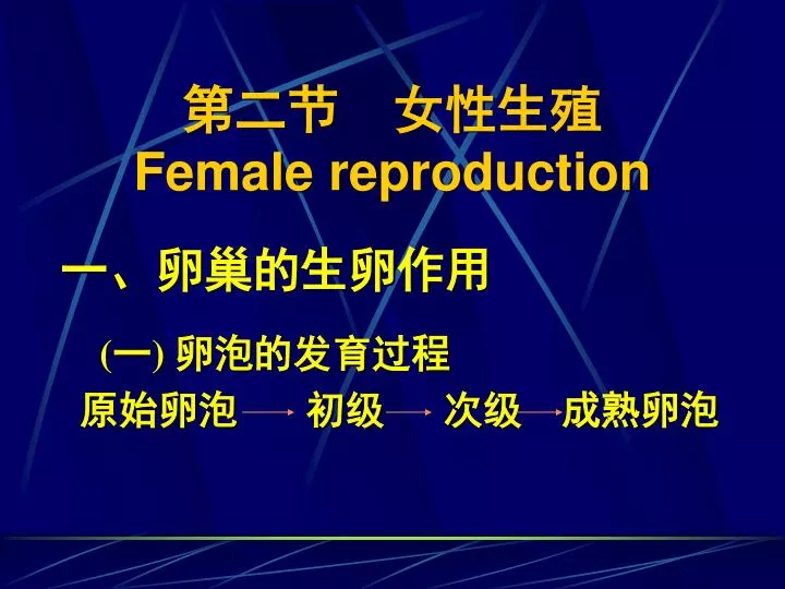 female reproduction