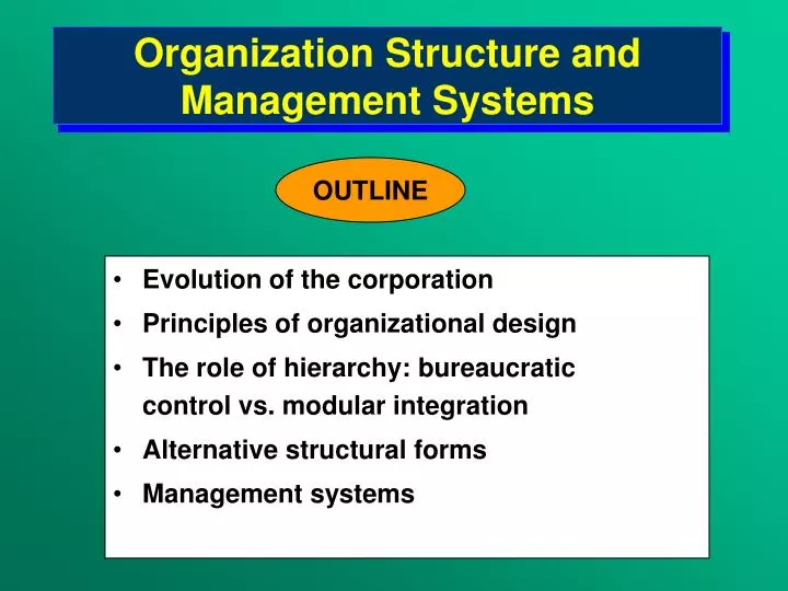 organization structure and management systems