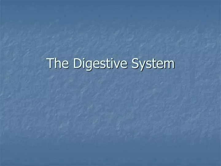 the digestive system