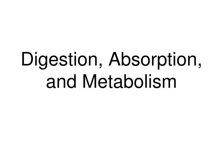 digestion absorption and metabolism