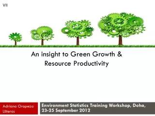 An insight to Green Growth &amp; Resource Productivity