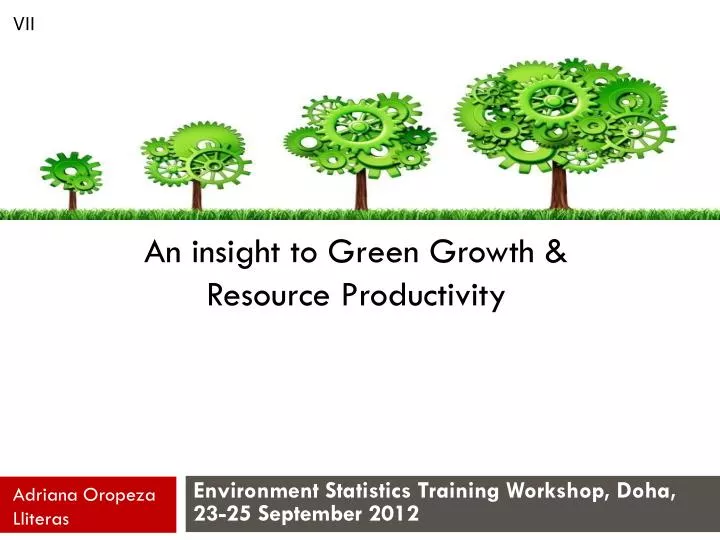 an insight to green growth resource productivity