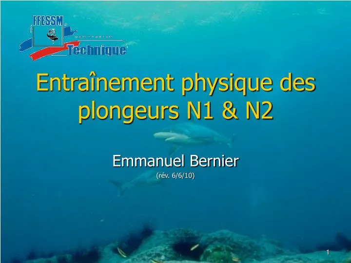 PPT - Entraînement Physique Des Plongeurs N1 & N2 PowerPoint ...