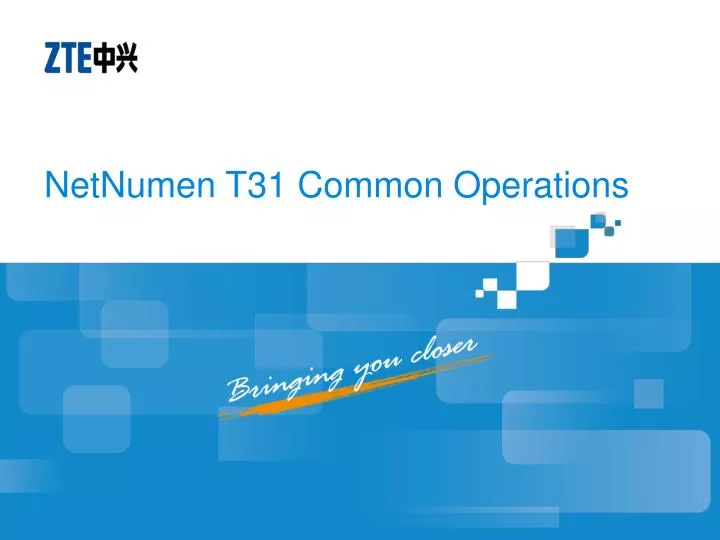 netnumen t31 common operations