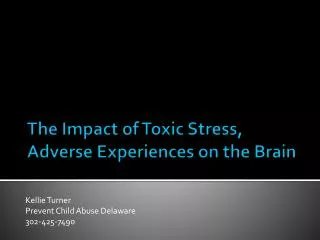 The Impact of Toxic Stress, Adverse Experiences on the Brain