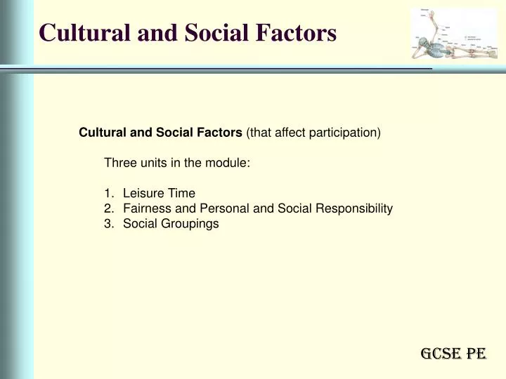cultural and social factors