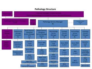 Pathology Structure