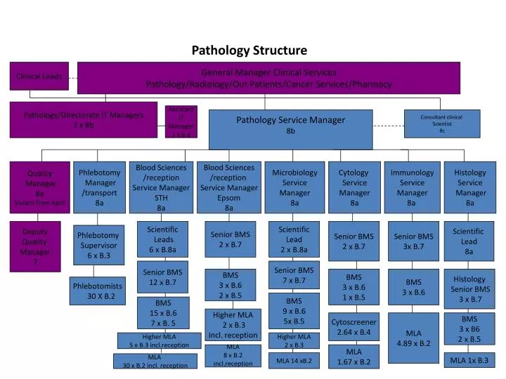 pathology structure