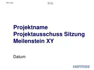 projektname projektausschuss sitzung meilenstein xy