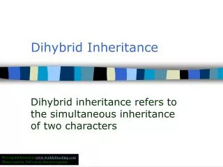 Dihybrid Inheritance