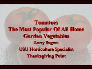 Tomatoes The Most Popular Of All Home Garden Vegetables