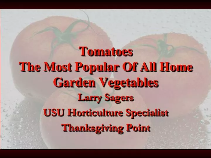 tomatoes the most popular of all home garden vegetables