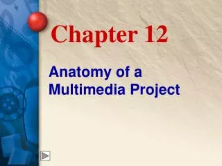 Anatomy of a Multimedia Project