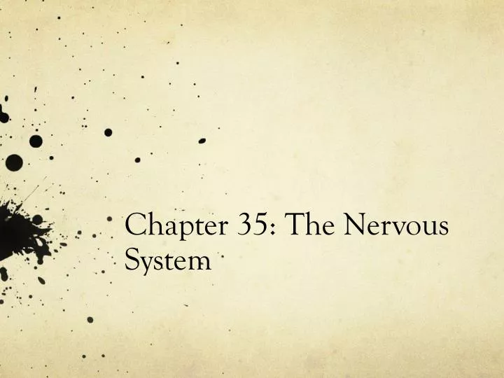 chapter 35 the nervous system