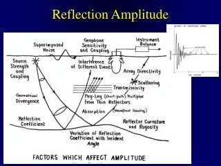 Reflection Amplitude