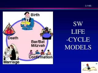 SW LIFE -CYCLE MODELS