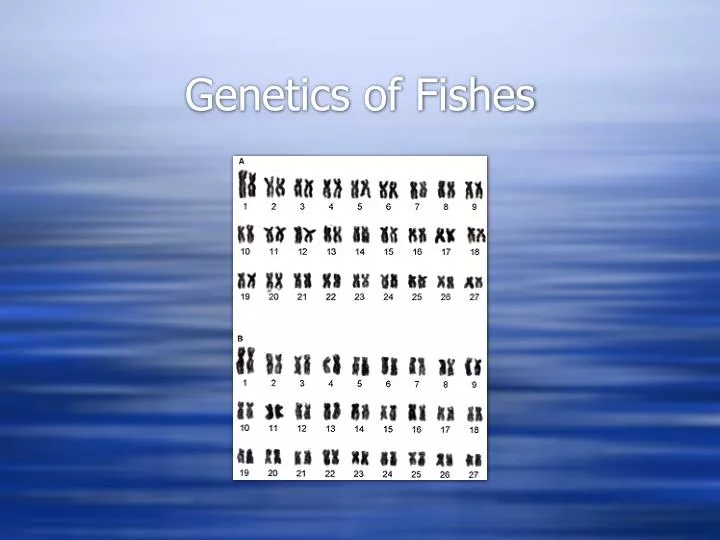 genetics of fishes