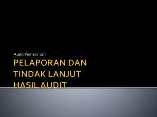 audit pemerintah