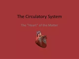 The Circulatory System