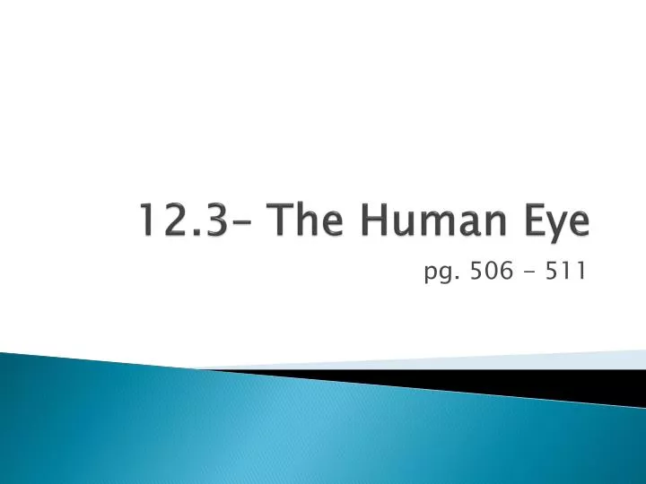 12 3 the human eye