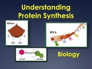understanding protein synthesis