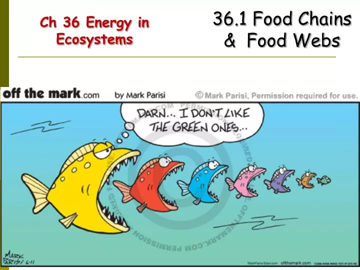ch 36 energy in ecosystems