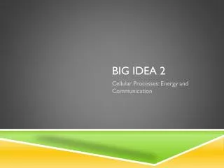 Big idea 2
