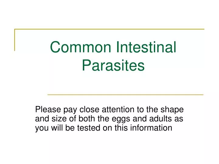 common intestinal parasites