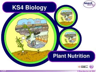 KS4 Biology