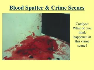 Blood Spatter &amp; Crime Scenes