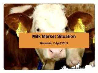 Milk Market Situation Brussels, 7 April 2011