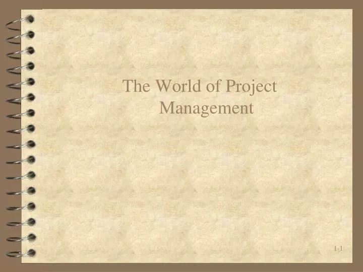 the world of project management