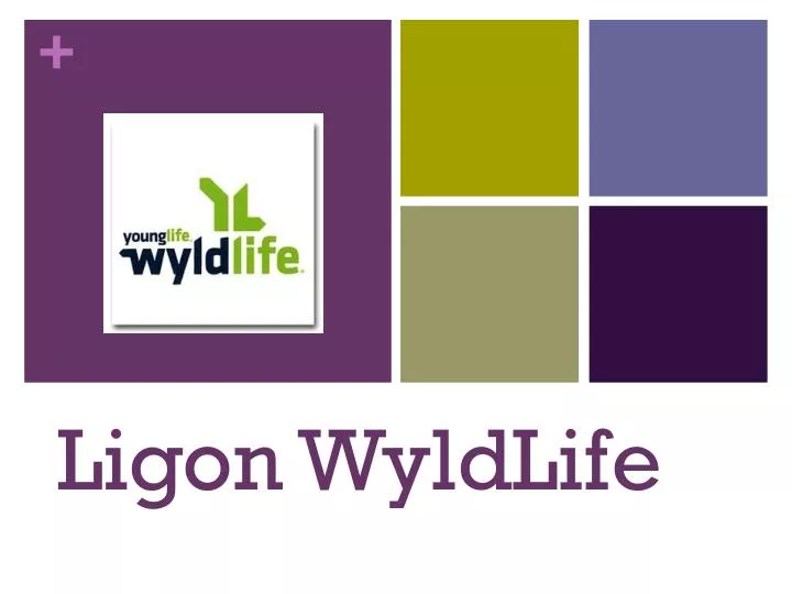 ligon wyldlife