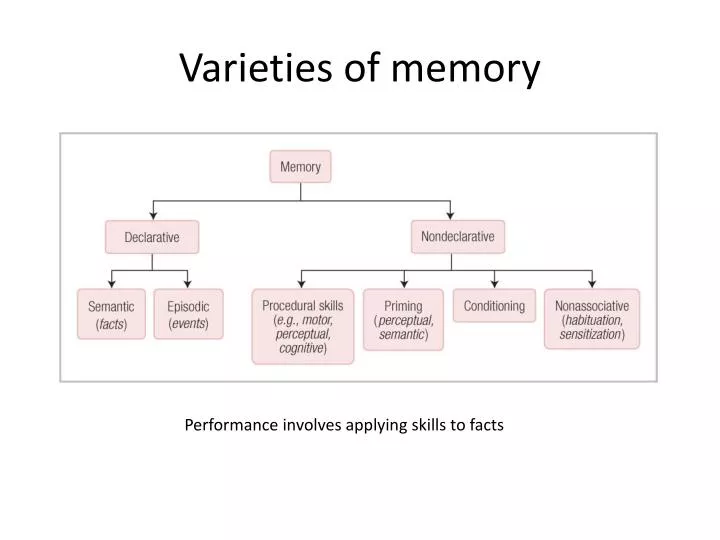 varieties of memory