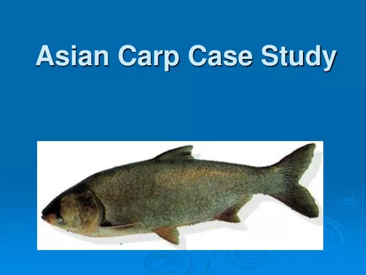 asian carp case study