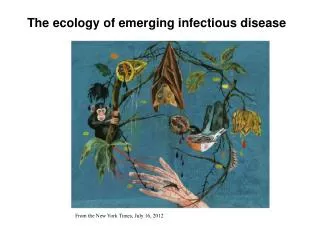 The ecology of emerging infectious disease