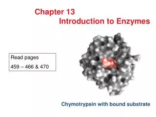 Chapter 13 Introduction to Enzymes