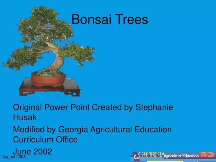 bonsai trees