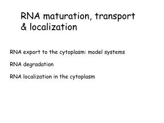 RNA export to the cytoplasm: model systems